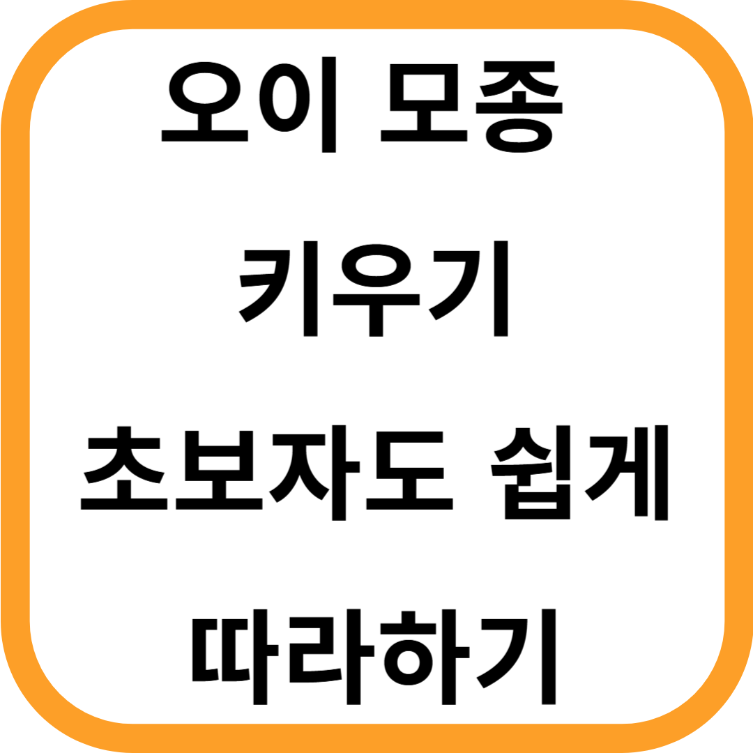 오이 모종키우기