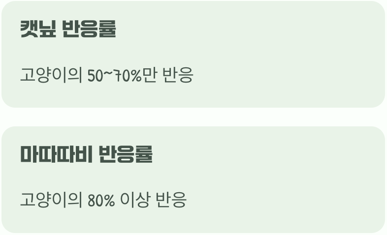 캣닢에 시큰둥하다면, 정답은 개다래나무