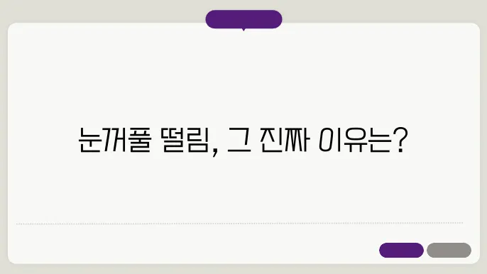 눈꺼풀 떨림 이유