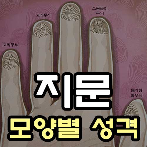 지문 모양별 성격 - 썸네일