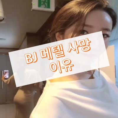 BJ 메텔 사망 이유