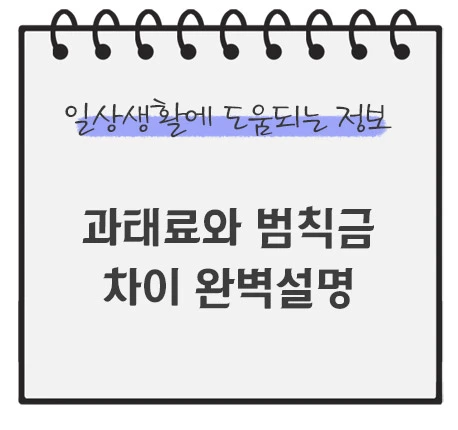 과태료와-범칙금의-차이