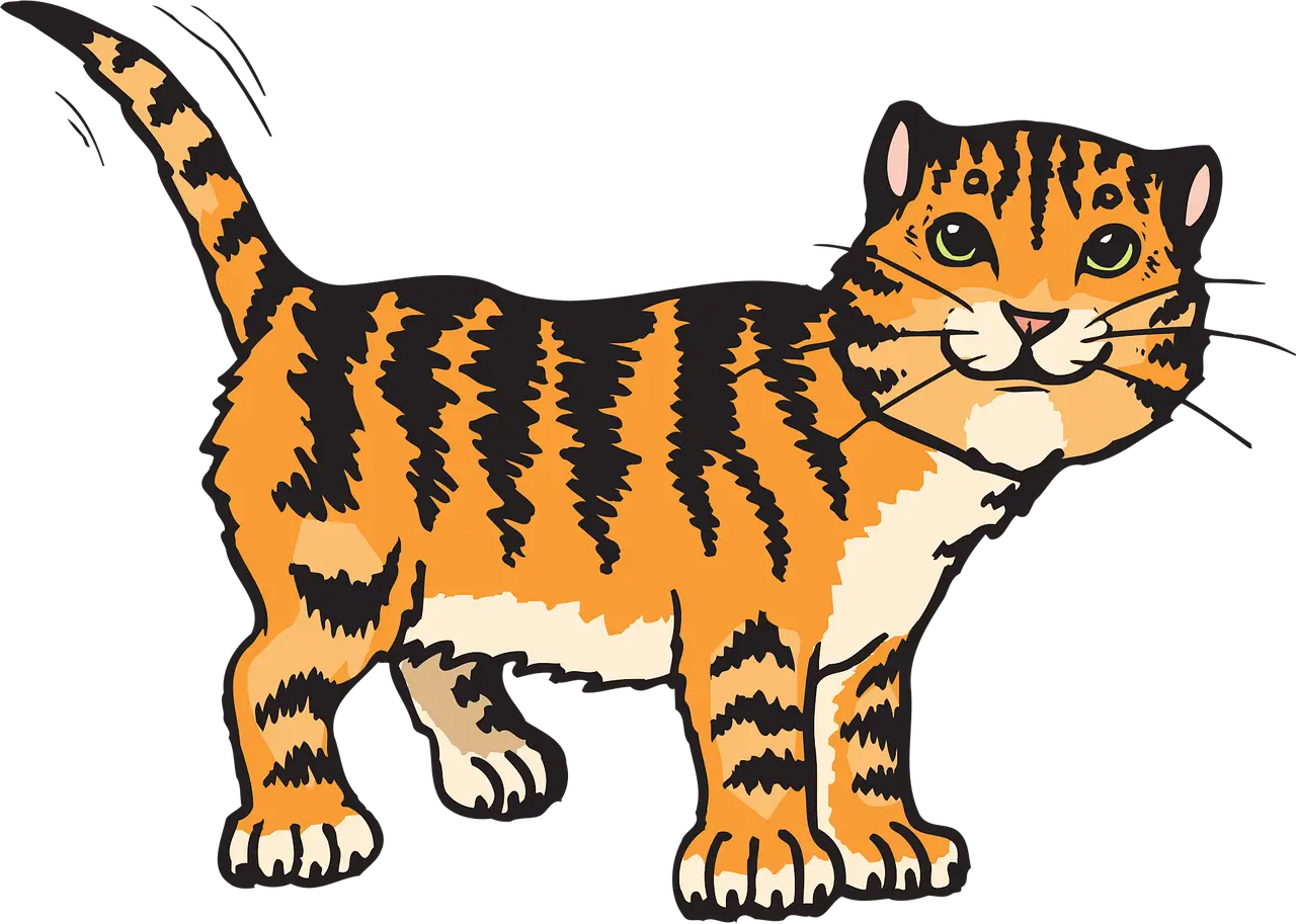 한국야생고양이삵의 하천 생태 활용 — 물가를 중심으로 펼쳐지는 먹이망