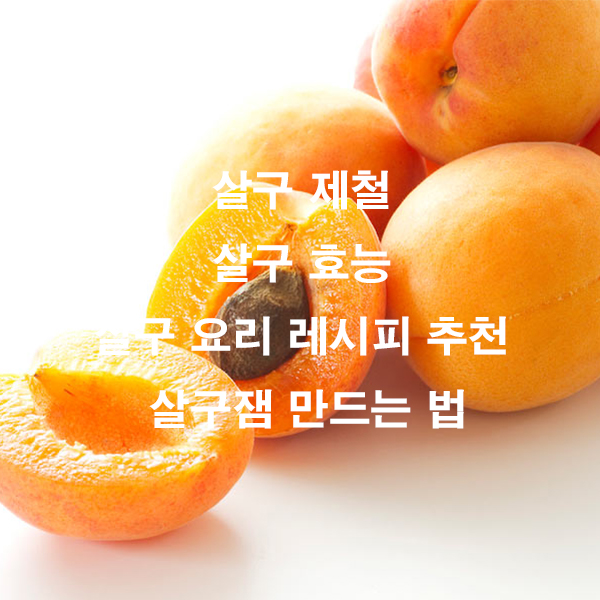 살구 제철 살구 효능 살구 요리 레시피 추천 살구잼 만드는 법