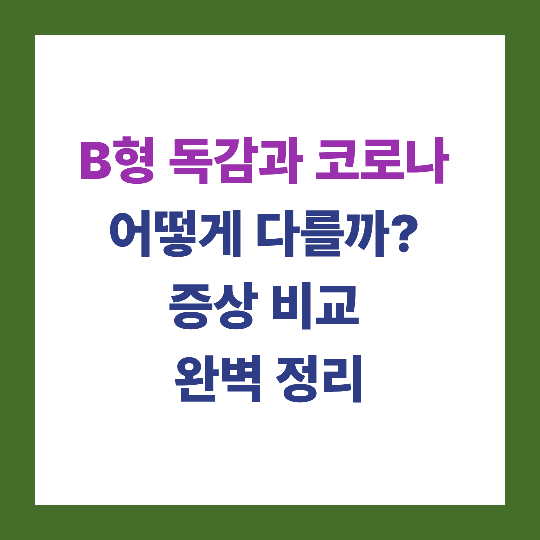 B형 독감, 코로나 차이점과 증상 총정리