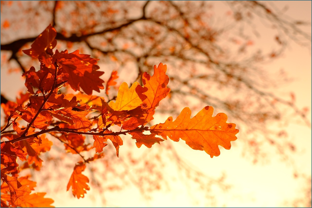 타자연습 바로가기