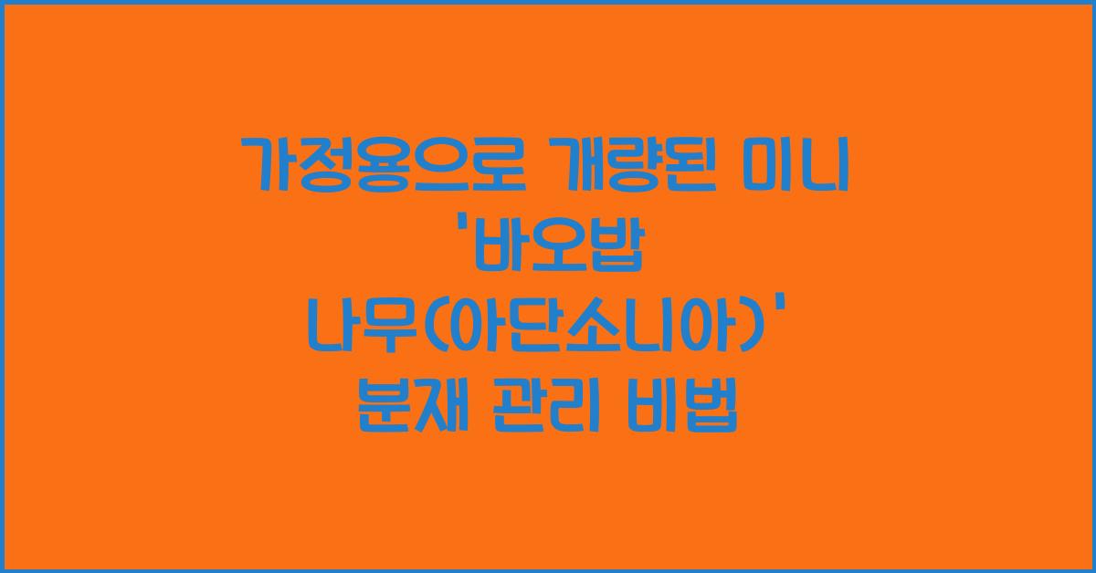 가정용으로 개량된 미니 '바오밥 나무(아단소니아)' 분재 관리