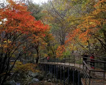 대둔산_5