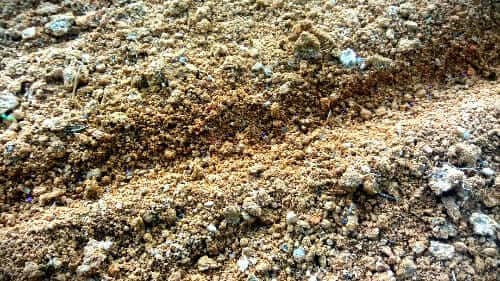 청갓-돌산갓-재배-종자-심는방법-심는간격-파종간격