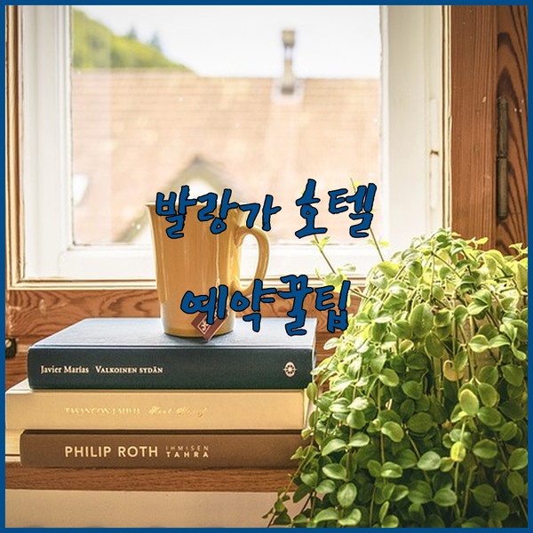 발랑가 호텔 예약 전 필독! 숨겨진 