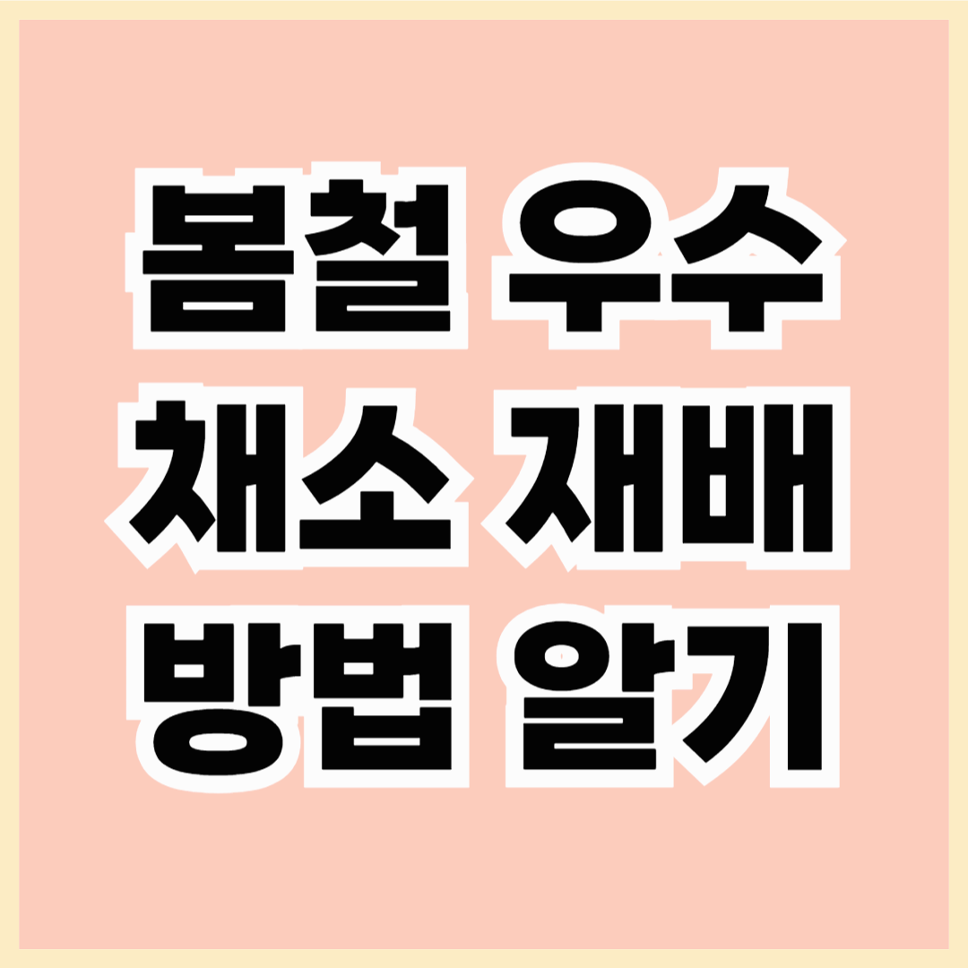 봄철 우수 채소 재배 방법! 초보 농부도 쉽게 따라하는 가이드