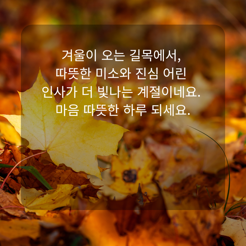 11월 인사말 문구 이미지 가을 겨울 인사글 모음집
