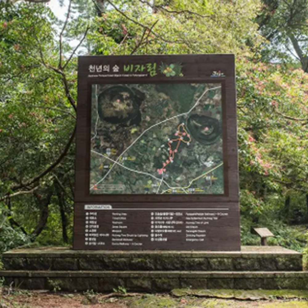 비자림