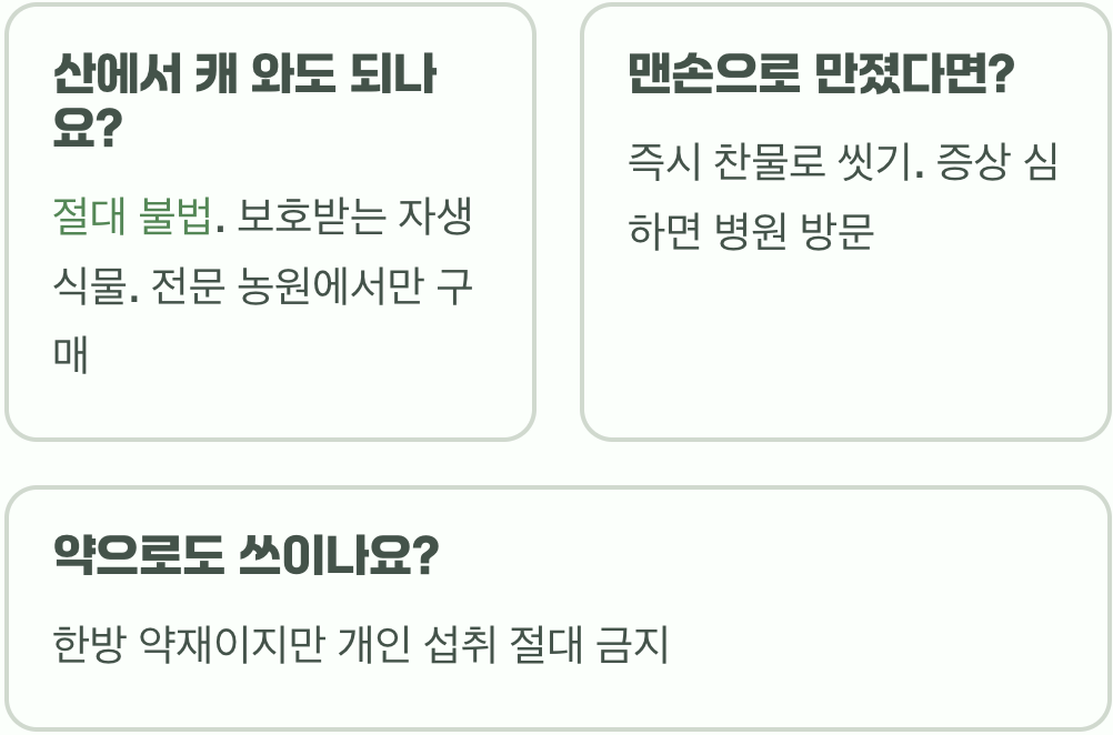 독초 천남성&amp;#44; 집에서 키우기 가능할까?