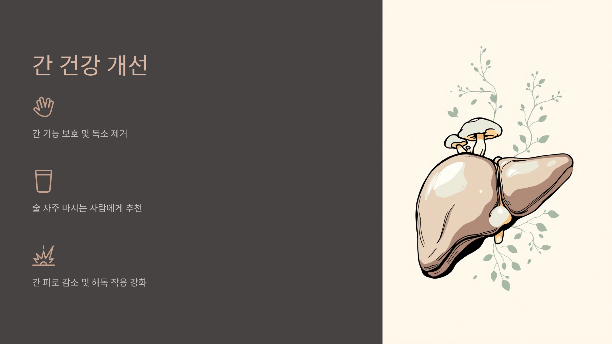 영지버섯 사진입니다.