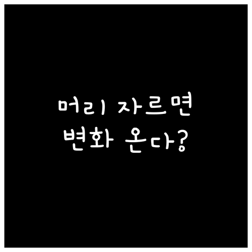 머리카락 자르는 꿈과 변화의 신호..