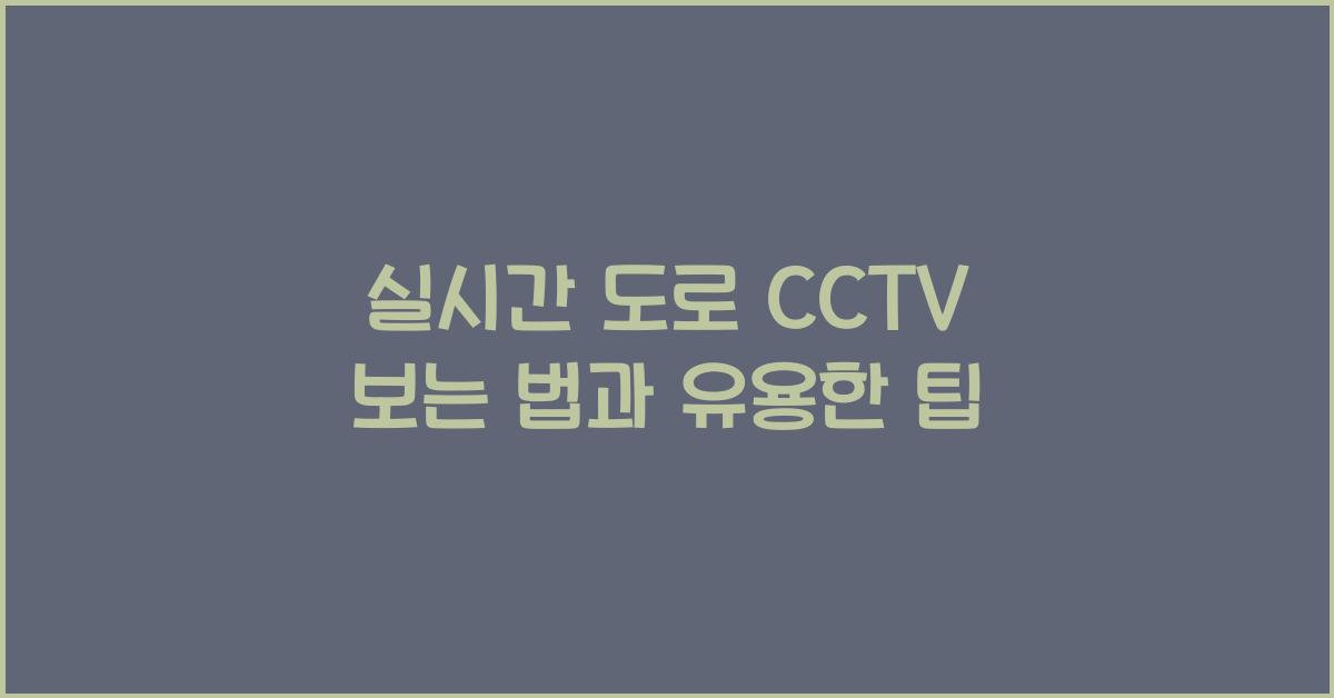 실시간 도로 cctv 보는 법