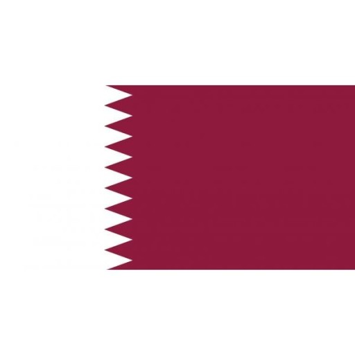 카타르 월드컵 일정