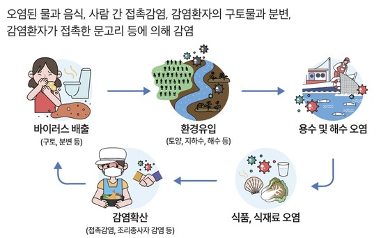 노로바이러스 증상 전염 잠복기 음식 굴