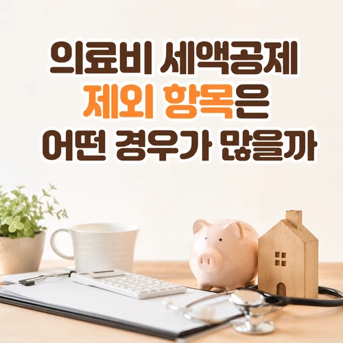 의료비 세액공제 제외 항목은 어떤 경우가 많을까