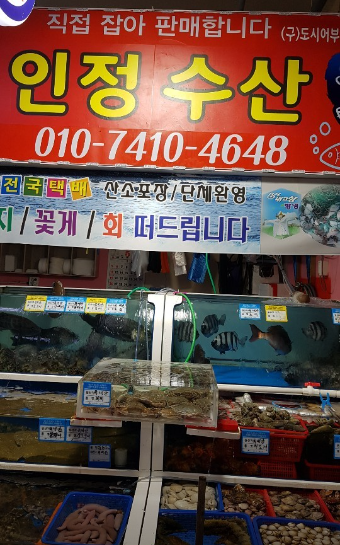 [6시 내고향] 충남 보령 주꾸미&#44; 주꾸미 요리 정보