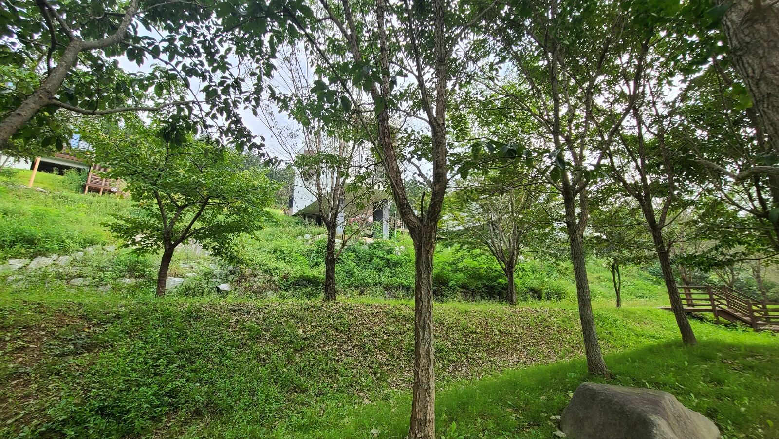 산책로6