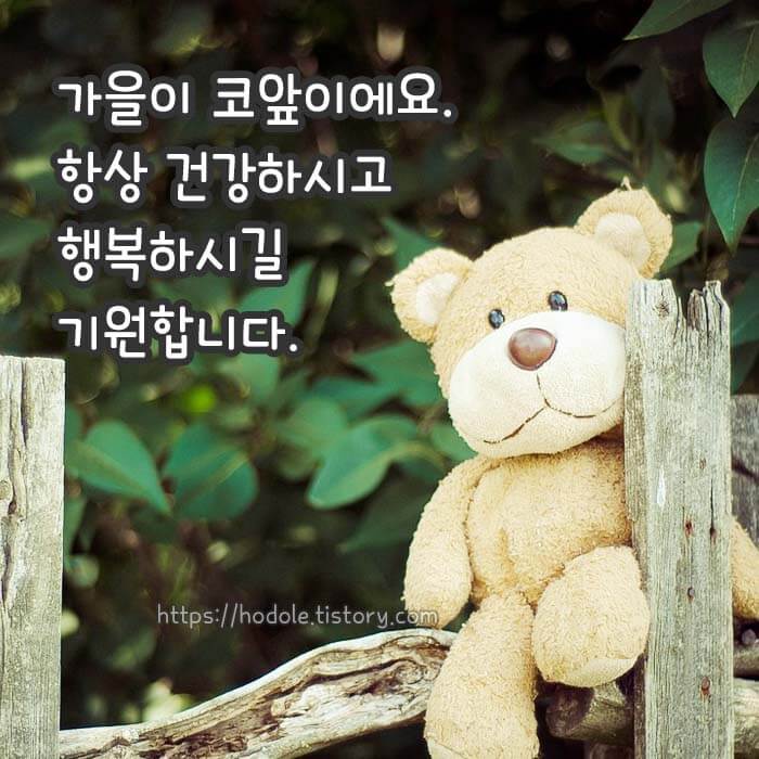 오늘 인사 이미지