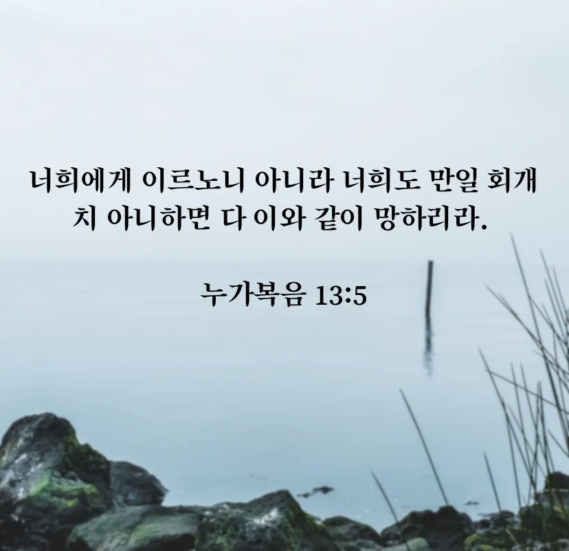 매일성경묵상(누가복음 12장 13-34절) 누가 네 인생의 주인이냐?_5