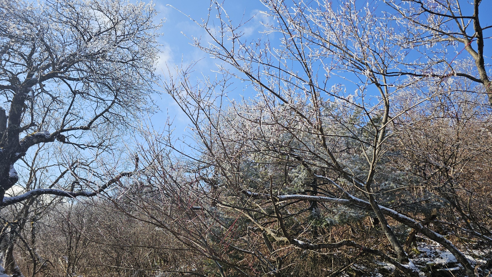 [36개월 아들과 함께 평화봉]