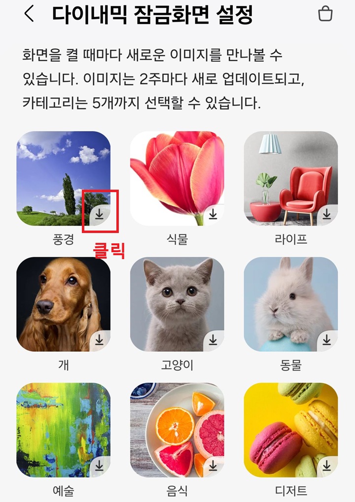 여러 카테고리 보임