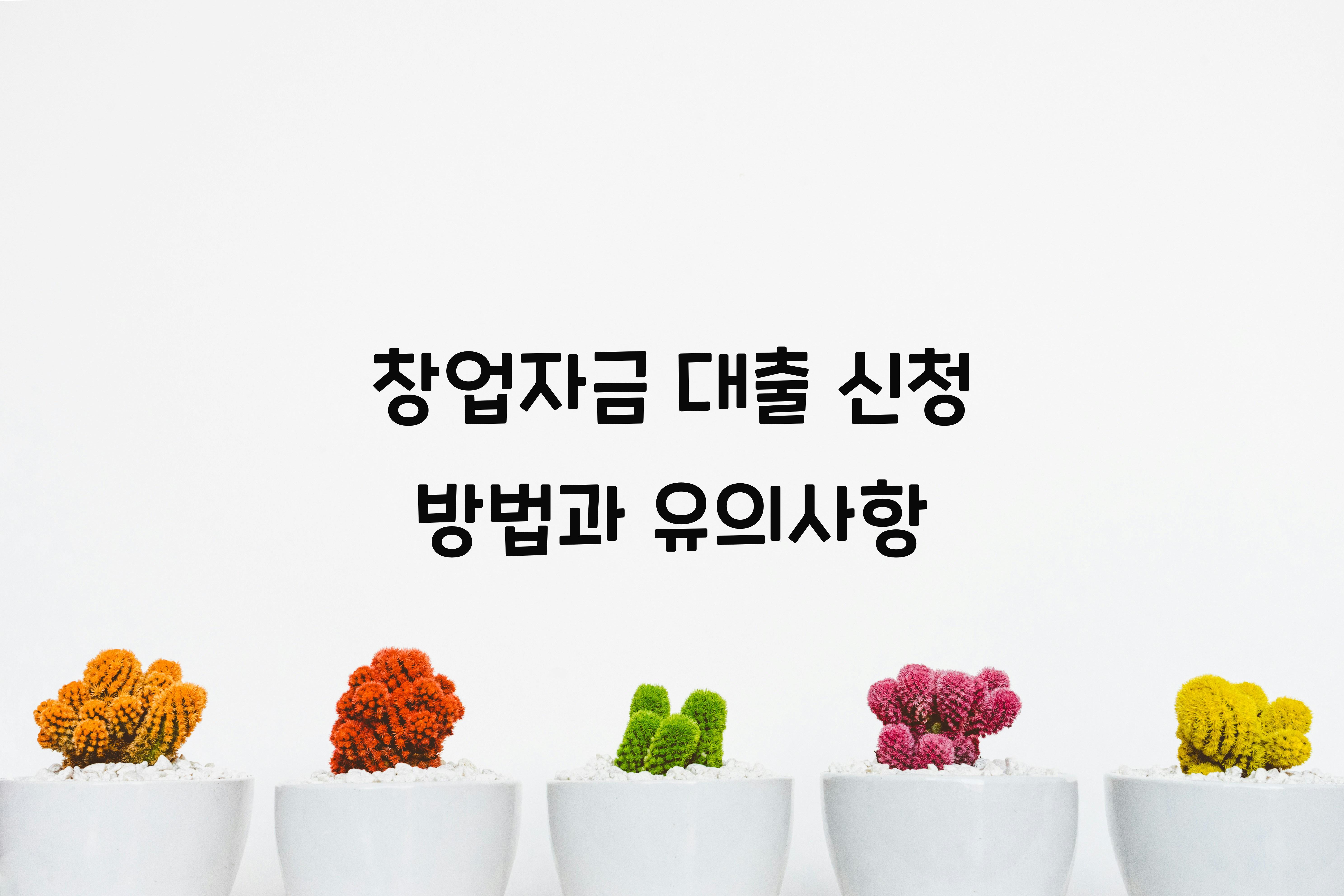 창업자금 대출 신청