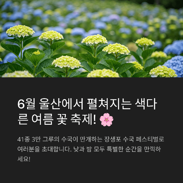 장생포 수국 페스티벌 2025, 일정, 프로그램, 관람 꿀팁 총정리