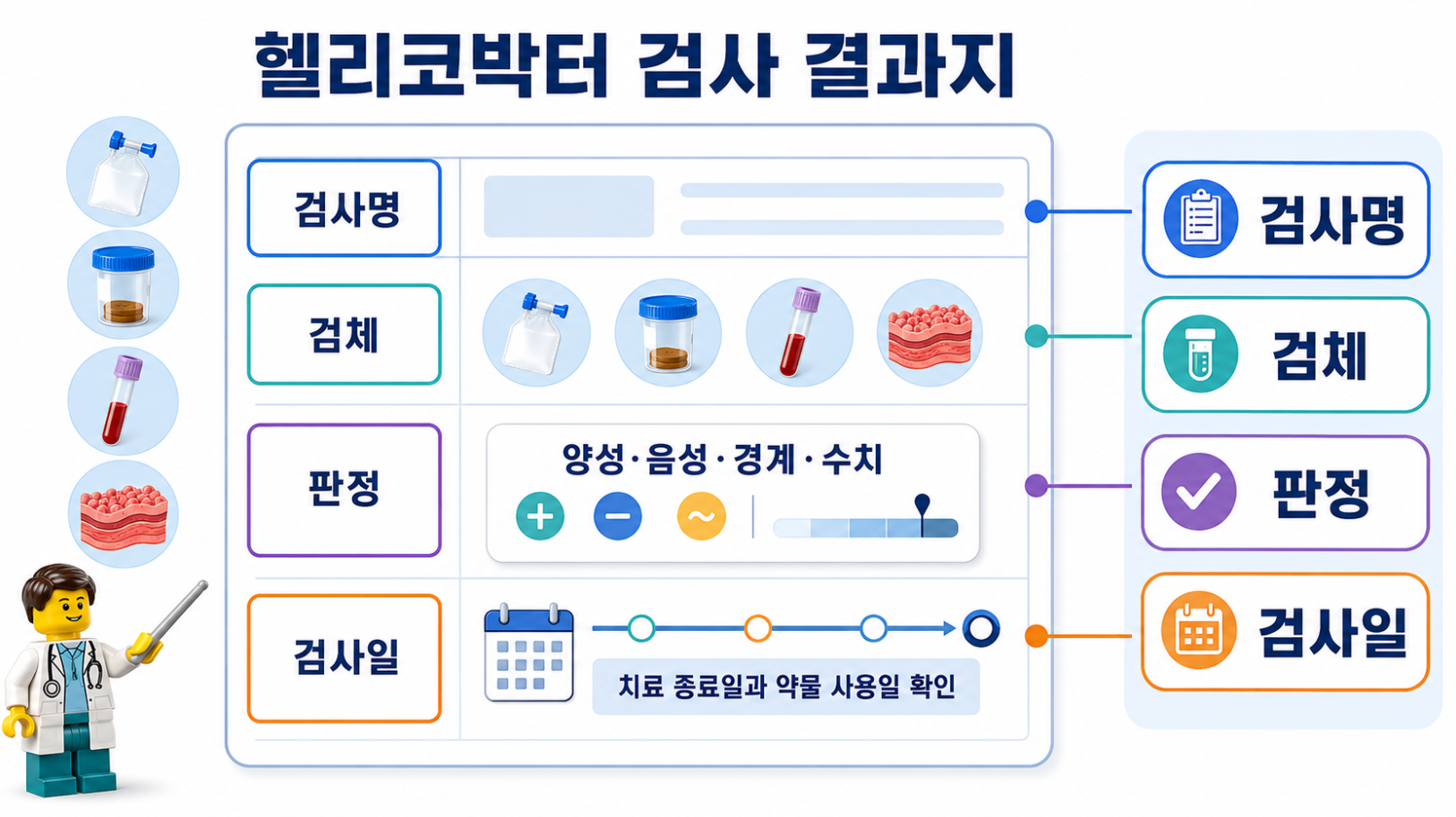 헬리코박터 검사 결과지에서 검사명·검체·판정·검사일을 확인하는 의료 인포그래픽