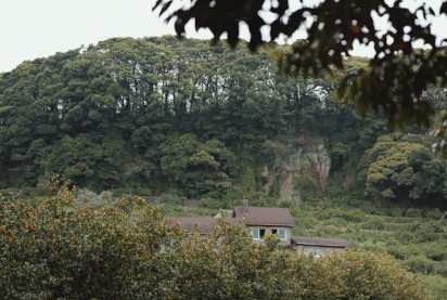 제주도 핫플