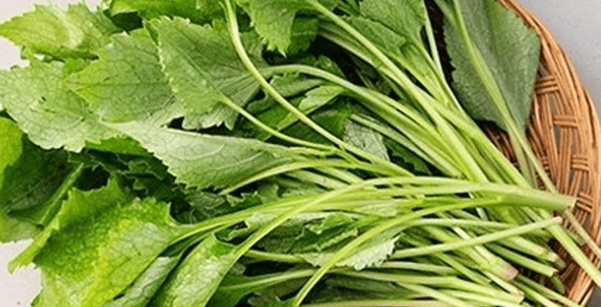 바구니에 담겨 있는 취나물