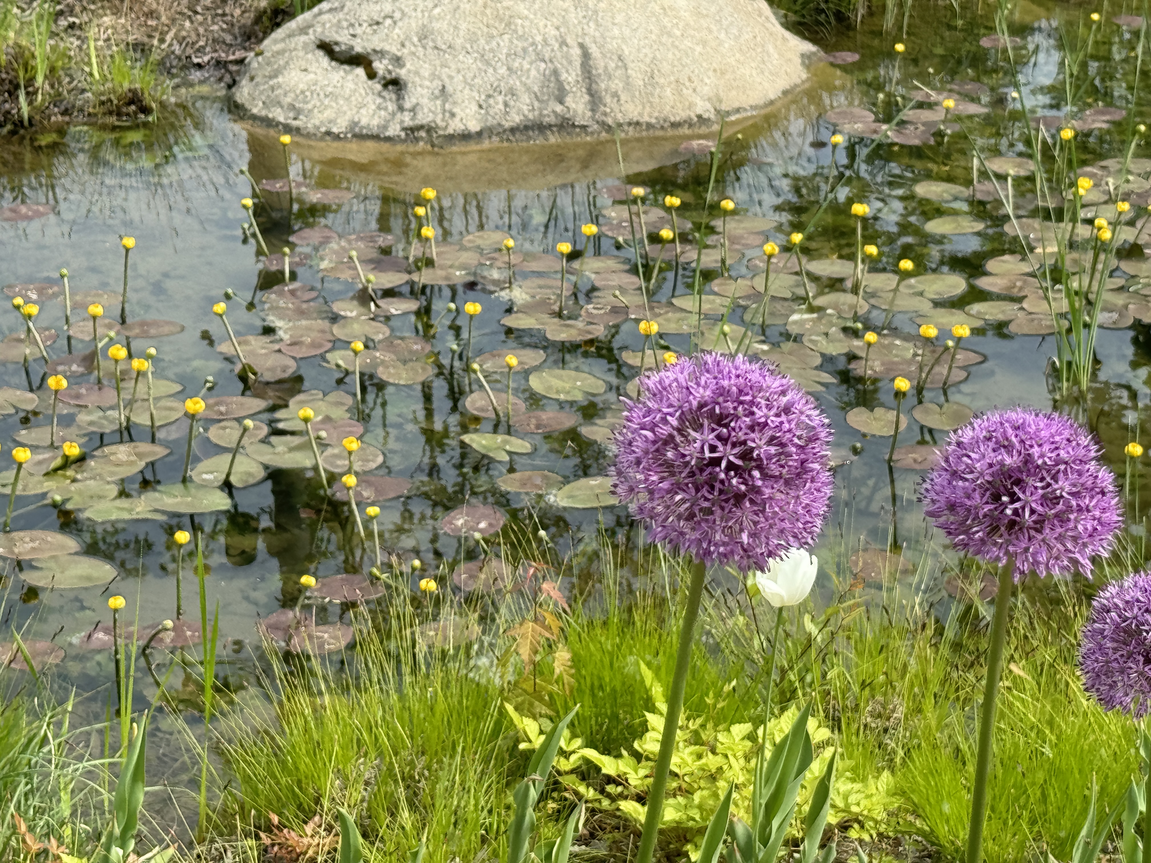 서울 식물원