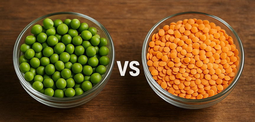 &quot;동양 콩 vs 서양 콩&quot;에 관한 이미지입니다.
