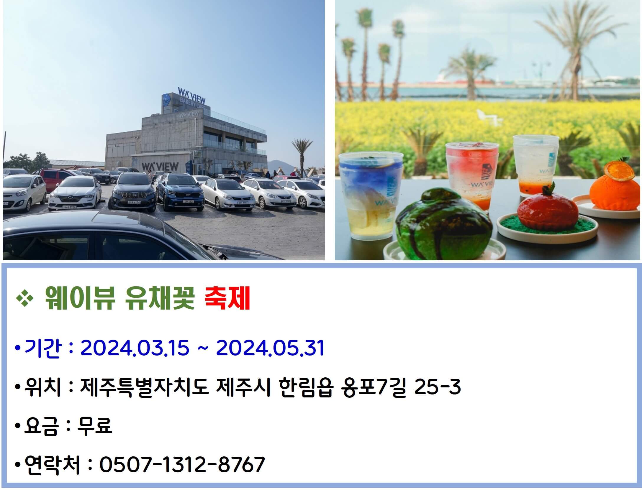 웨이뷰 유채꽃 축제