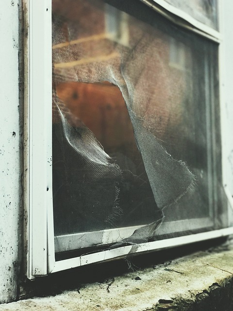 해충 침입 방지 창문 틈새 막기