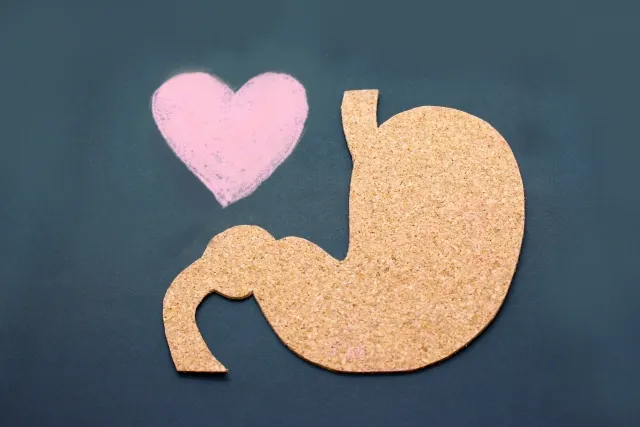 비트즙 식이섬유 풍부