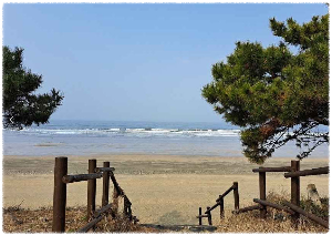 독산해수욕장
