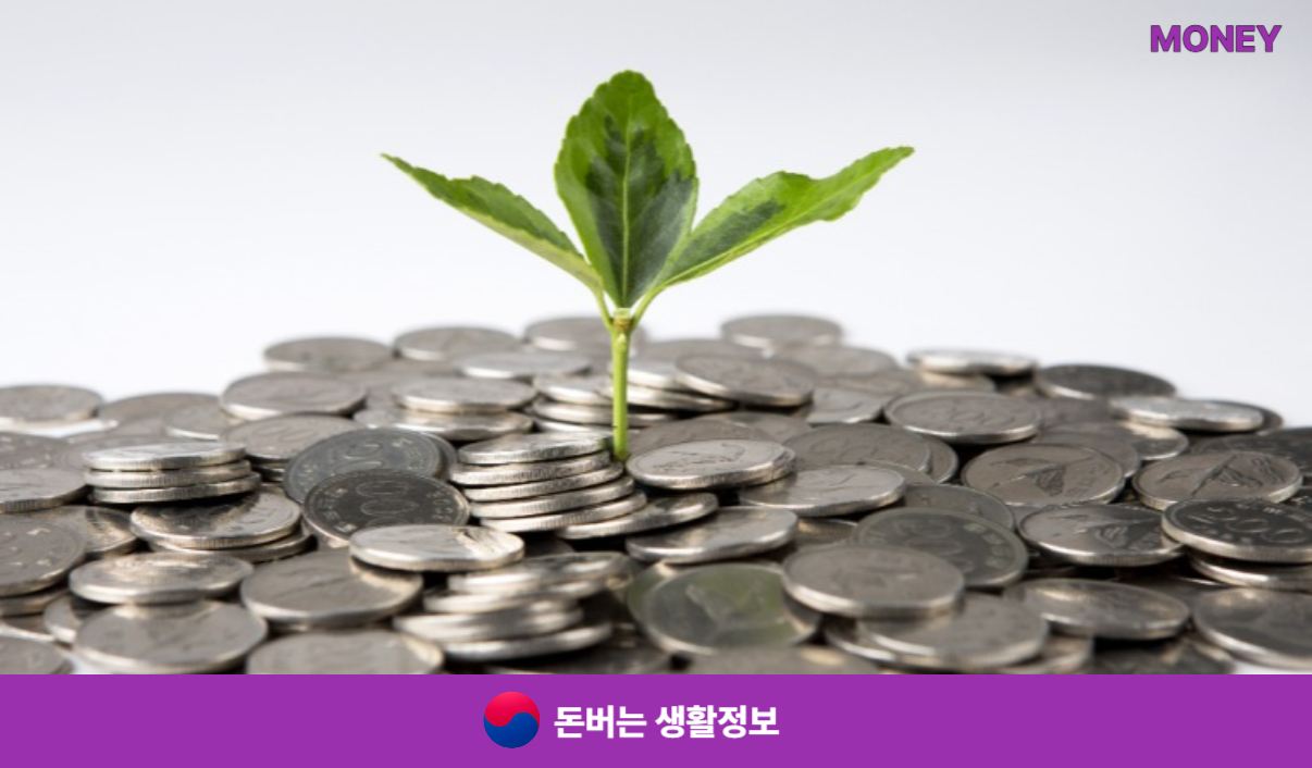 의료보험 피부양자 자격