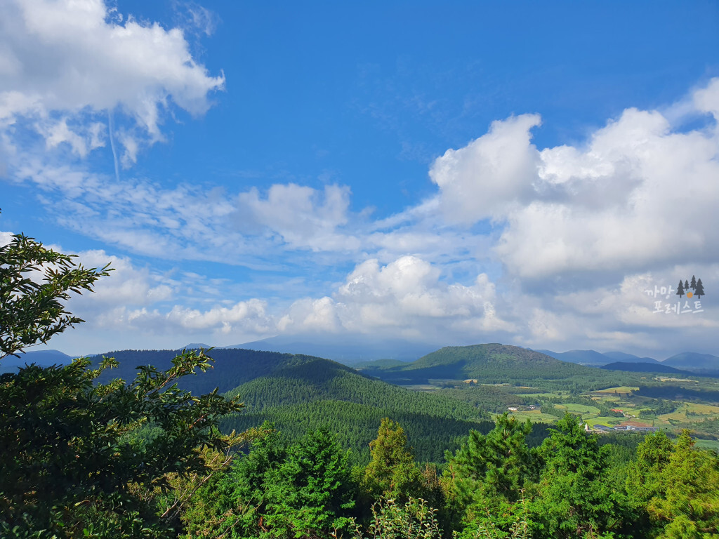 거문오름 전망 뷰