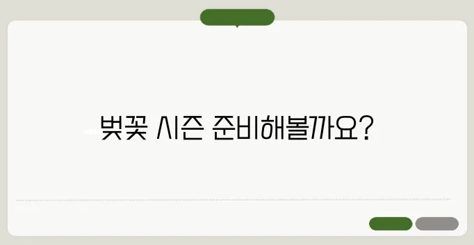 벚꽃축제 핑크 천막 대여 서비스, 2025년 전국 벚꽃 개화 시기를 한눈에 확인해보세요!