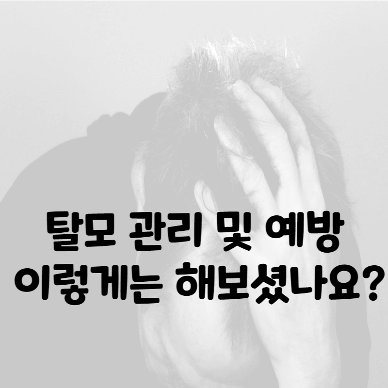 탈모관리