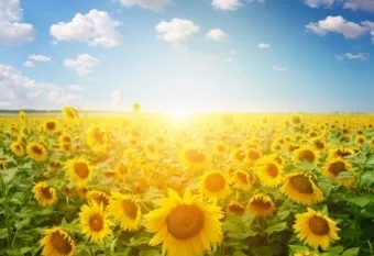 풍경 사진 잘 찍는 방법 꿀팁_18