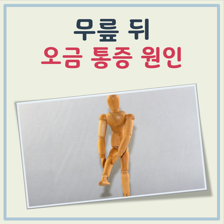 무릎 뒤 오금 통증 대표 이미지