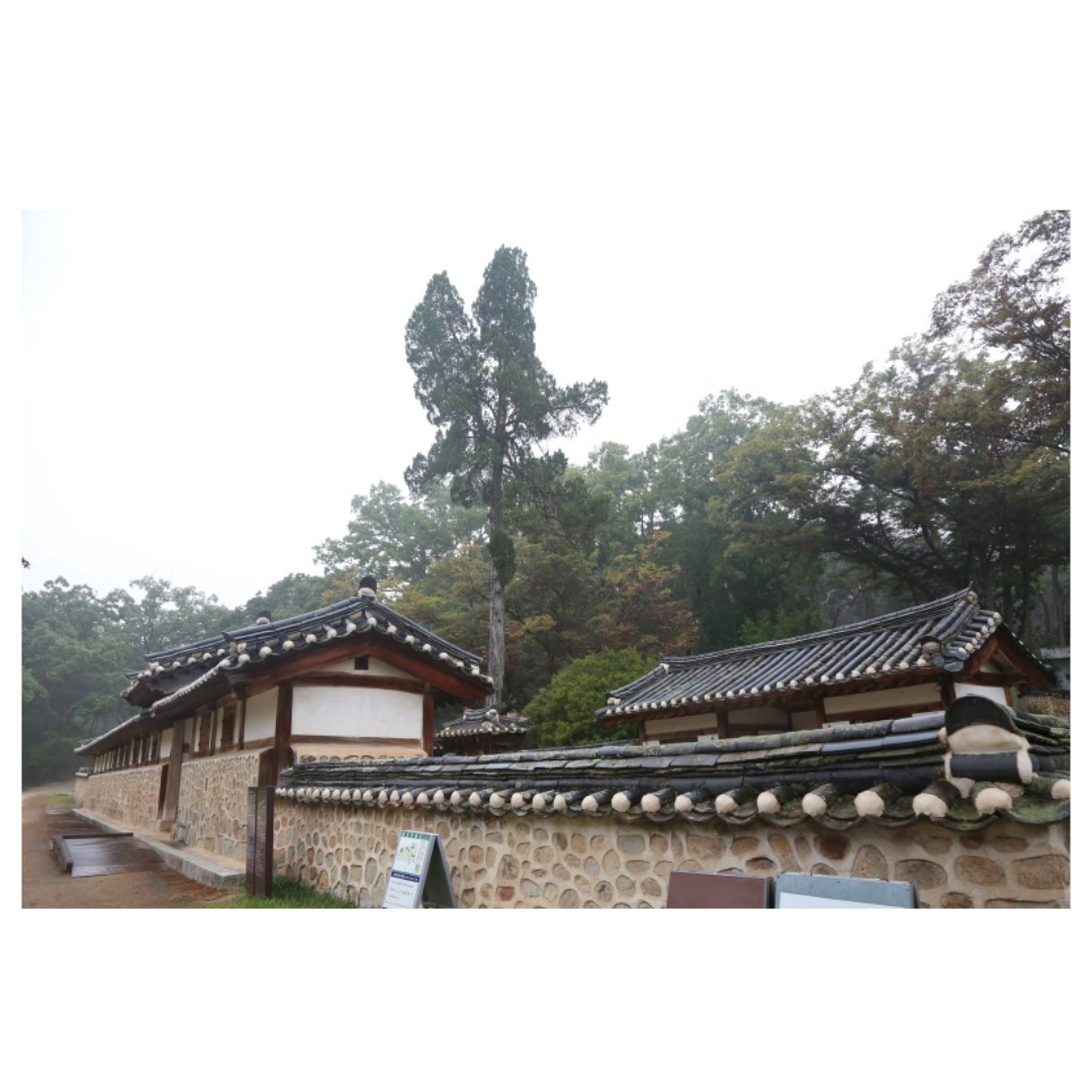 여주와 관련된 사진입니다.