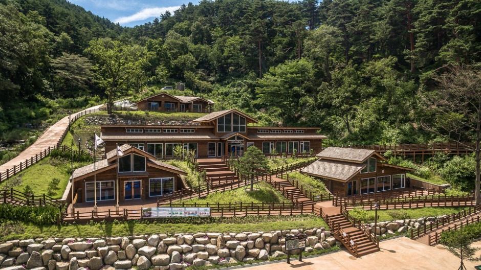 강릉 국립대관령치유의숲