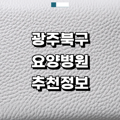 광주 북구 요양병원